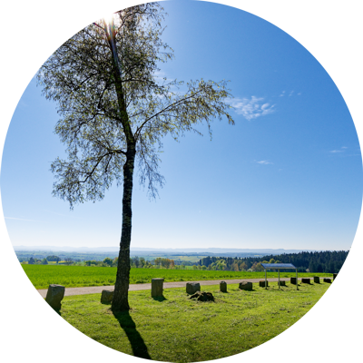 Foto der Umgebung